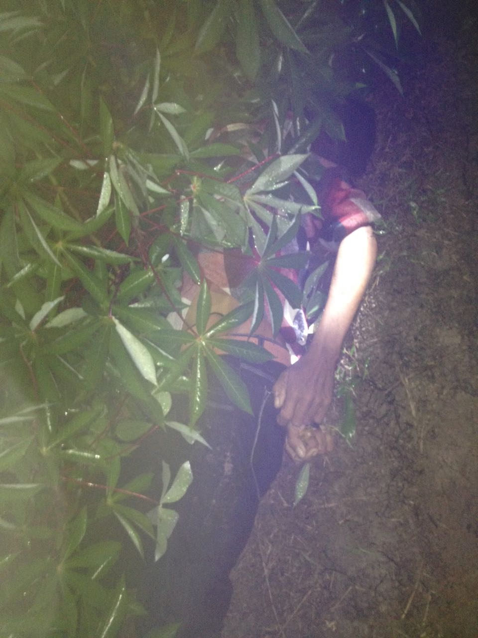 Tersengat Listrik Penjerat Babi, Warga Tekulai Hilir Meninggal Dunia