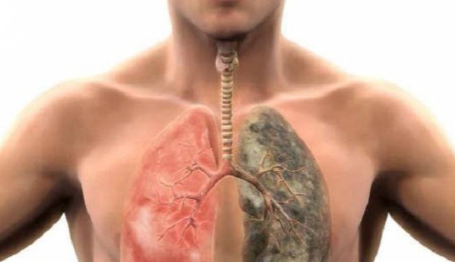 Apakah Paru-paru Kamu Sudah Tua? Cek di Sini