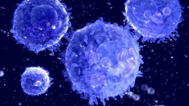 Satu Makanan Ini Hentikan Sel Kanker Berkembang