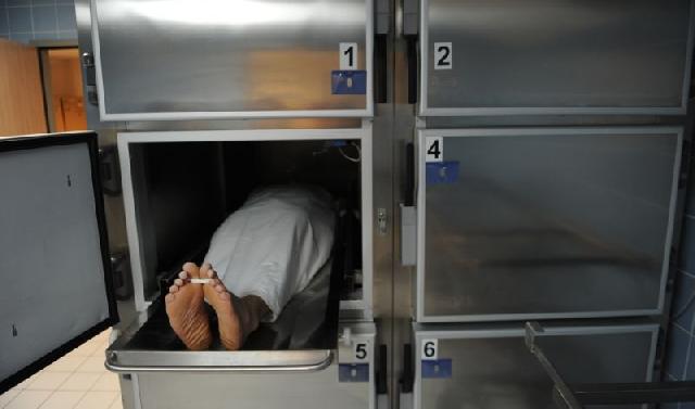 Kasus Bully Berujung Maut, Plt Kadisdik Riau Sesalkan dan Segera Cek ke Sekolah