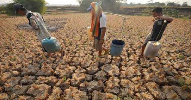 Demi Air Satu Jeriken, Warga Situbondo Rela Antre Berjam-jam