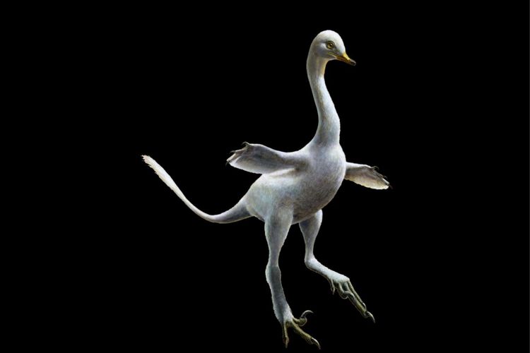 Bukan Kesalahan Evolusi, Inilah Dinosaurus dengan Tubuh Paling Aneh