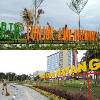 RTH jadi ajang tindak asusila, dewan sebut jangan disalahfungsikan