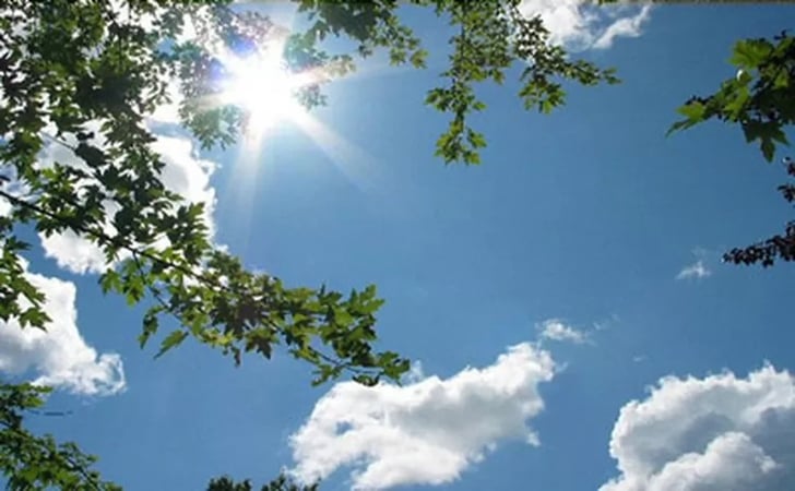 Cuaca di Riau Hari Ini Diprediksi Cerah, Potensi Hujan Ringan di Sebagian Wilayah