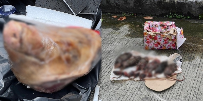 Teror Berulang ke Kantor Tempo, Iwakum: Indonesia Darurat Kebebasan Pers