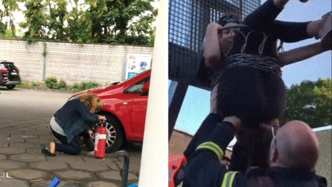 10 Foto Situasi Ini Sulit Dijelaskan dengan Akal Sehat