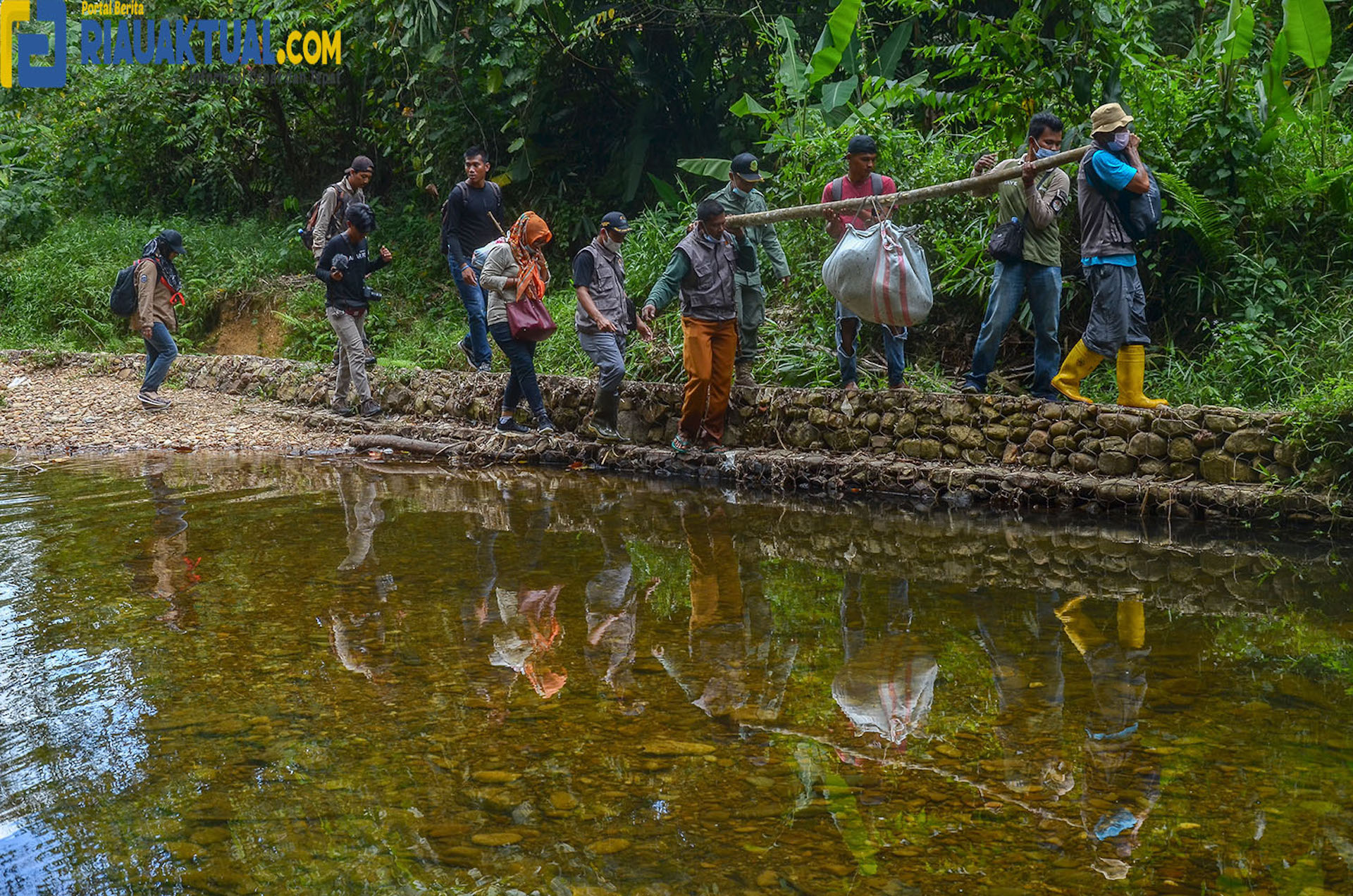 Ular Sanca Batik Dengan Panjang 9 Meter Dilepasliarkan Dikawasan Konservasi Alam