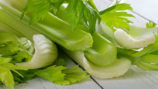 Seledri, Turunkan Hipertensi dan Bersihkan Ginjal