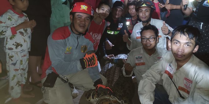 Warga Tangkap Buaya 3,5 Meter Terjebak di Parit, Evakuasi Sampai 2 Jam