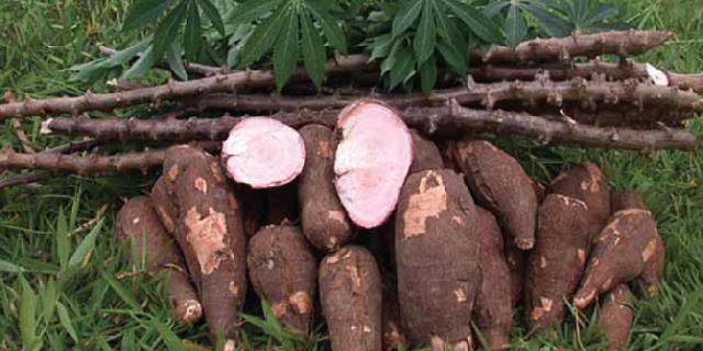 Benarkah Makanan 'Ndeso' Dapat Memperpanjang Umur