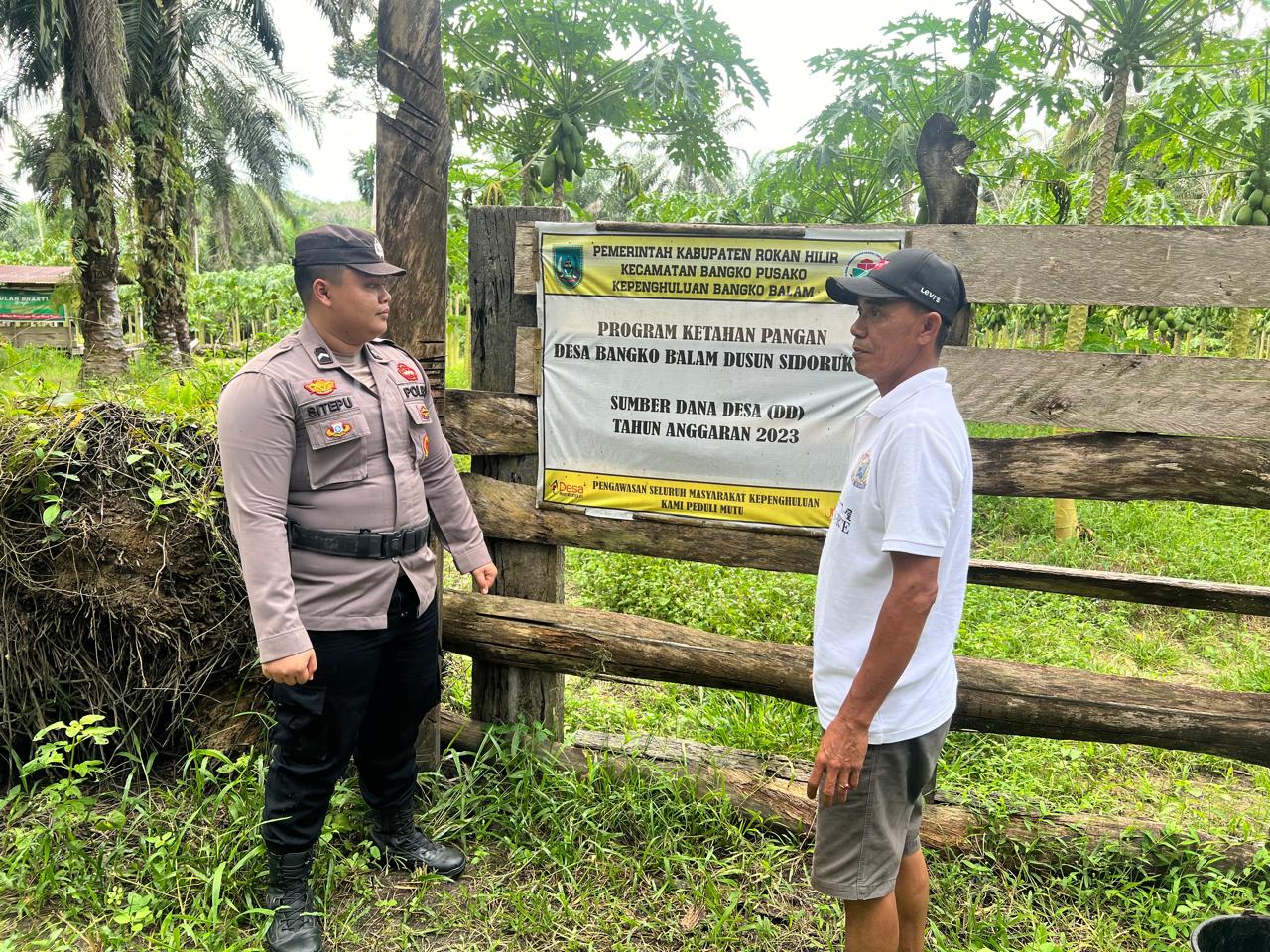 Polsek Bangko Pusako Dorong Ketahanan Pangan Lewat Pembinaan Kelompok Tani