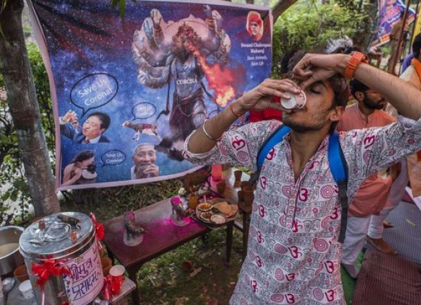 Duh! Warga India Ramai-ramai Minum Urin Sapi, Dipercaya Tangkal Virus Corona