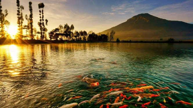 Ini Bukan di Gunung Fuji, Tapi Embung Kledung Temanggung