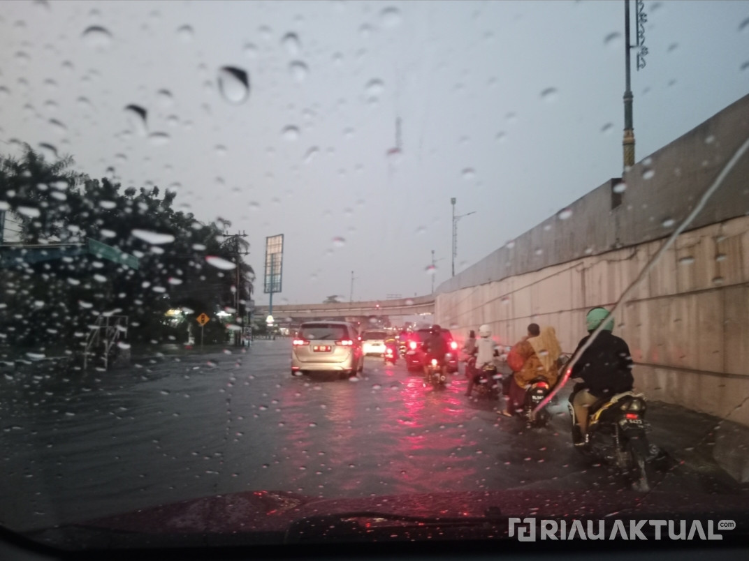 BMKG Peringatkan tentang Hujan Sedang di Provinsi Riau dari Sore hingga Malam