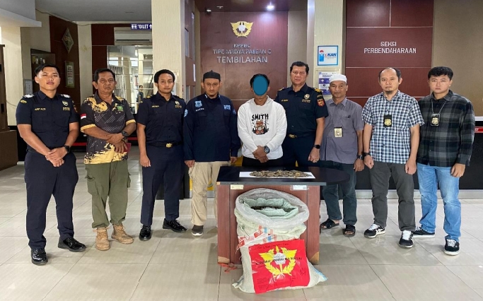 Penyelundupan Sisik Trenggiling di Riau Terungkap, Pelaku Terancam 20 Tahun Penjara