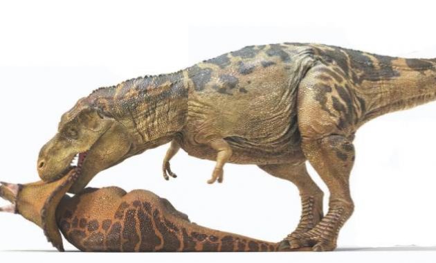 Benarkah Dinosaurus Juga Memangsa Manusia? Ini Fakta Sebenarnya