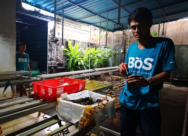 Salut! Petani Muda Bali Punya Omset Ekspor Rp100 Miliar