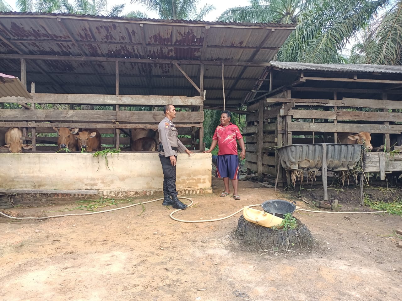 Bhabinkamtibmas Bangko Makmur Dukung Ketahanan Pangan Lewat Program Asta Cita