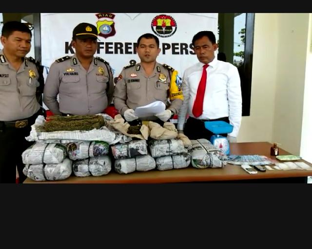 Satresnarkoba Polres Pelalawan Gagalkan Peredaran Narkotika