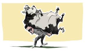 Pencurian Ternak Mulai Marak di Kuansing