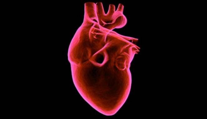 Alternatif Pengobatan Medis Jantung, Kini Tanpa Operasi