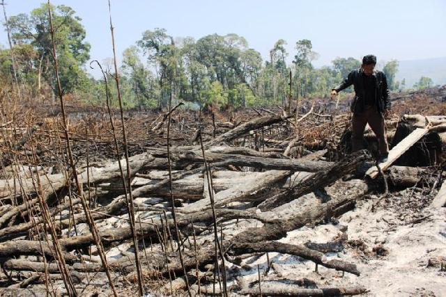 Ratusan Hektare Lahan di TNBT Dibabat Pengusaha Dari Sumut