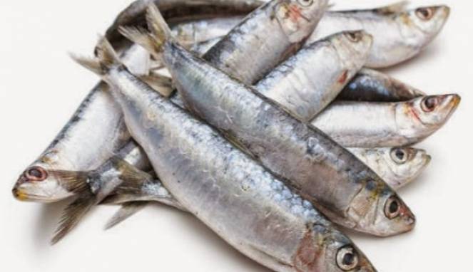Konsumsi Sarden Setiap Hari, Ini 5 Manfaat Menakjubkannya
