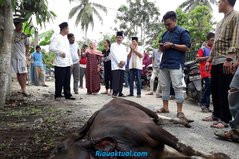 Dihadiri Sekdaprov dan Kapolres, KBB Inhil Potong Empat Sapi Korban