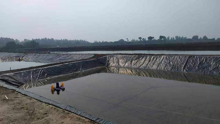 Aliansi Mahasiswa Sorot Tambak Udang di Desa Sungai Cingam, Kecamatan Rupat