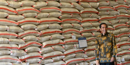 Impor 500.000 Ton Beras, Antara Prediksi Mentan dan Kesedihan Jokowi