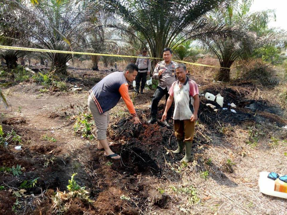 Bakar Lahan, Petani di Dumai Diamankan