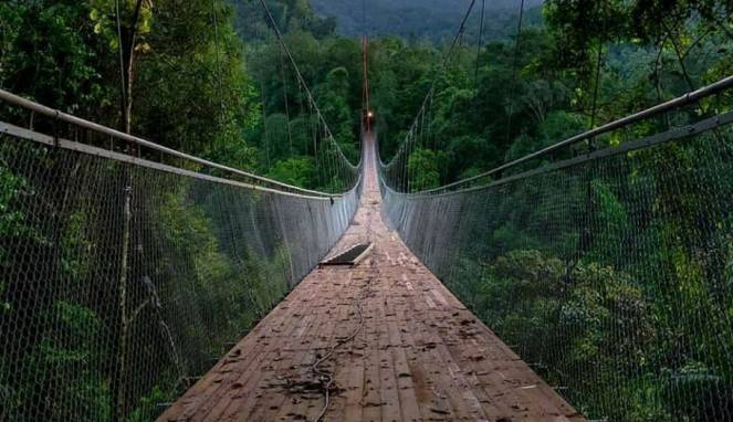 Jembatan Gantung Situ Gunung Sukabumi yang Menakjubkan