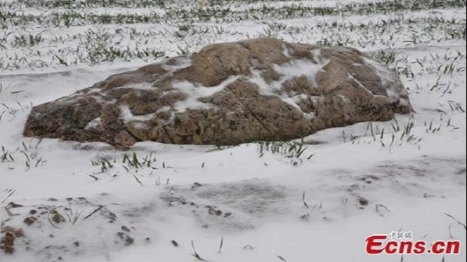 Ini Dia Gunung Terpendek di Dunia, Tingginya Cuma 60 Cm