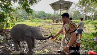 Mengunjungi Dona di TWA Buluh Cina Bisa Jadi Destinasi Pilihan Libur Nataru
