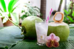 Ini Bedanya Kelapa Muda dengan Kelapa Hijau