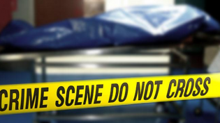 Novi Amelia Lompat dari Lantai 8 Apartemen Kalibata City, Tubuhnya Menimpa Mobil