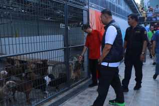 Ganggu Warga, Pemko Segera Cek Izin Shelter Hewan di Rumbai