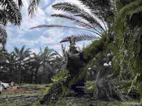Pemulihan Ekosistem TNTN Diharapkan Jadi Rumah Nyaman Bagi Gajah dan Keragaman Hayati