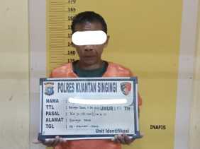 Tertangkap Tangan Curi Bibit Sawit, Pria di Desa Beringin Taluk Diamankan Polres Kuansing