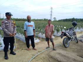 Cooling System Pasca Pemungutan Suara, Bhabinkamtibmas Simpang Belutu Rutin Sambangi Warga