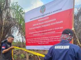 Tiga Perusahaan PBPH di Riau Disegel Akibat Kebakaran Lahan Gambut