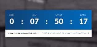 Diumumkan Hari Ini, Begini Cara Lihat Hasil SNMPTN 2022