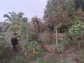 Polisi Buru Pelaku Pembunuhan Mayat Misterius Terkubur di Perawang Siak