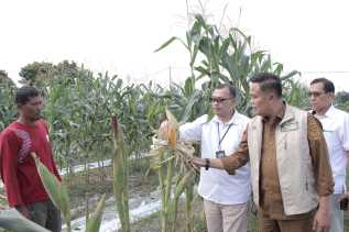 Disketapang Pekanbaru Dorong Hilirisasi Hasil Pertanian Lokal