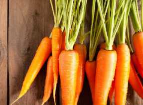 5 Manfaat Wortel Bagi Kesehatan