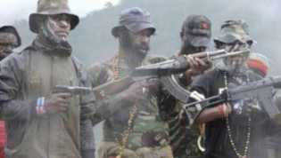 Komnas HAM Papua Ungkap 8 Karyawan PT PTT Tewas Ditembak KKB Aibon Kogeya