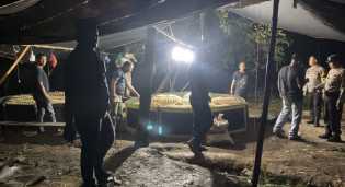 Polsek Tenayan Raya Gerebek Arena Sabung Ayam