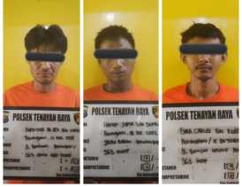 Curi Kambing Demi Beli Chip Judi Online, Tiga Pemuda di Tangkap Polsek Tenayan Raya
