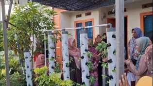 Warga di Pekanbaru Manfaatkan Lahan Pekarangan untuk Ketahanan Pangan