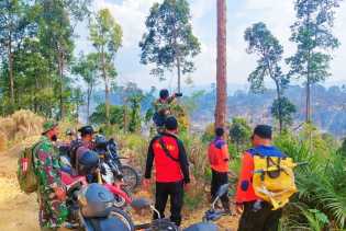 30 Hektare Lahan Terbakar di Rokan Hulu